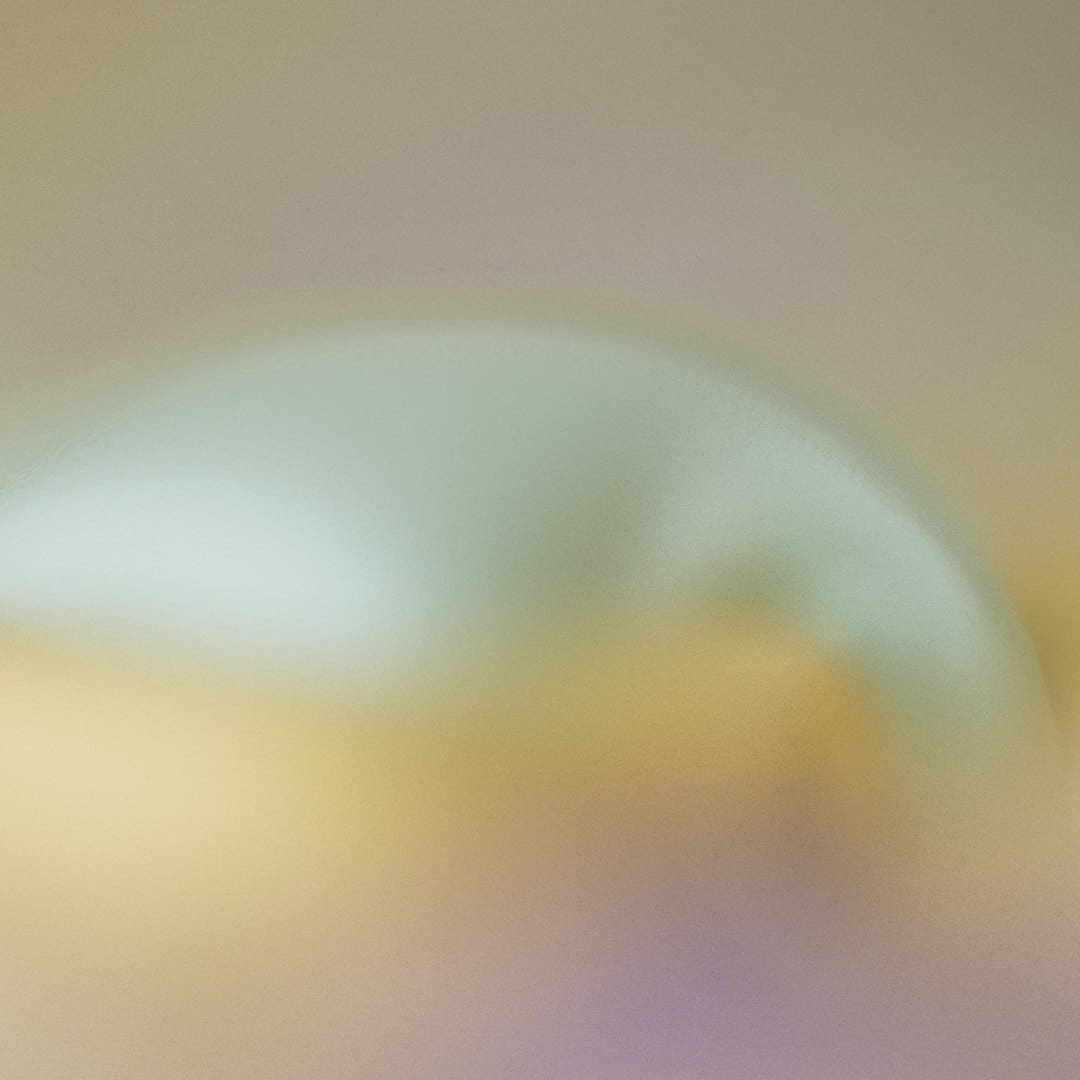 《献鱼》原著神交是什么意思?